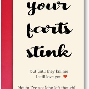 Unique Valentines Gifts for Him or Her, Humorous Birthday Card for Boyfriend, Cheeky Anniversary Card Gifts for Husband or Wife, Happy Your Farts Stink Bday Card for Fiance BF GF…